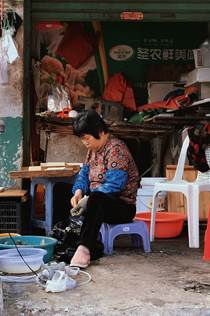 《城市梳妆者》1